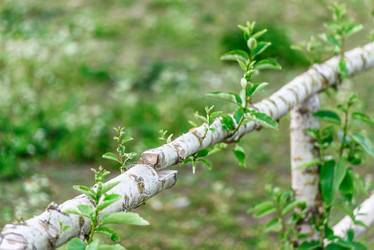 Similar image 21541564