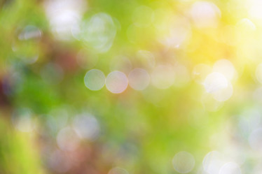 Similar image 21541566