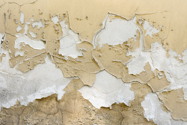 Similar image 21541572