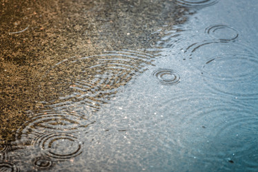 Similar image 21541573