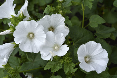 Similar image 21540593