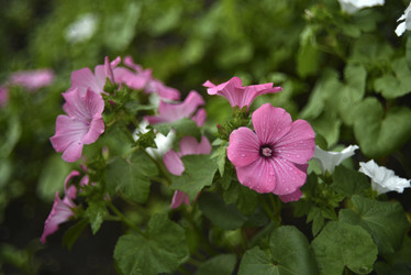 Similar image 21540596