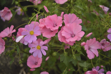 Similar image 21540599