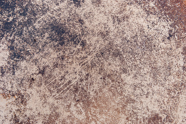 Similar image 21540601