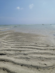 Similar image 21542575