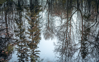 Similar image 21541574