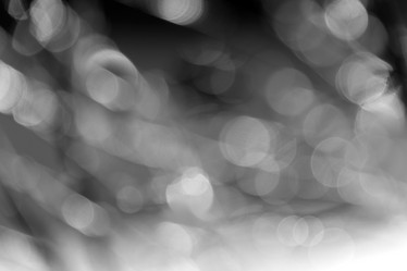 Similar image 21541803