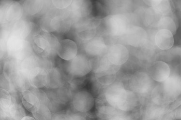 Similar image 21541804