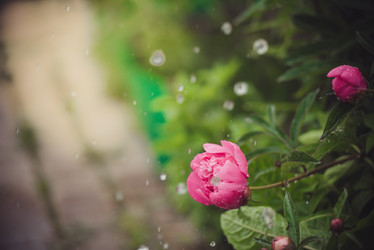 Similar image 21541805