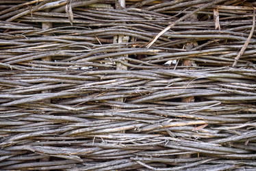 Similar image 21541808