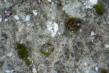 Similar image 21541814