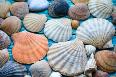 Similar image 21541818