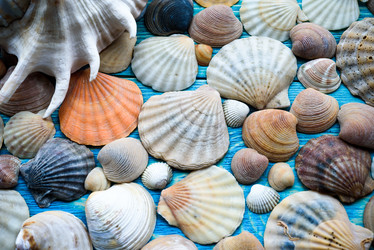 Similar image 21541617