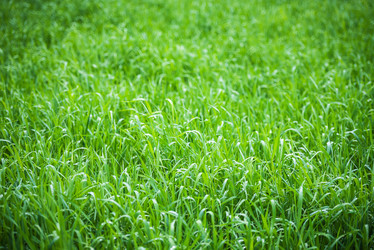 Similar image 21542178