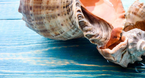 Similar image 21542179