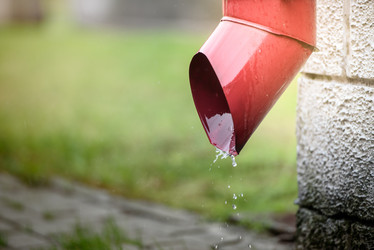 Similar image 21542181