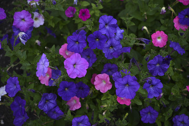 Similar image 21540627