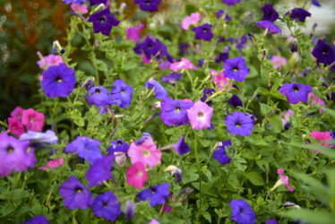 Similar image 21540628