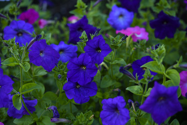 Similar image 21540631