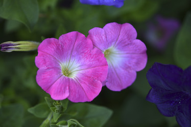 Similar image 21540633