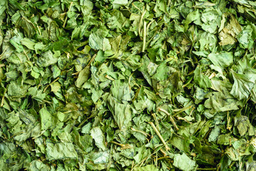 Similar image 21542184