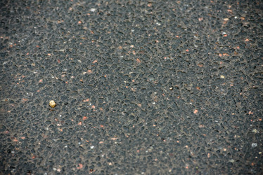 Similar image 21542186