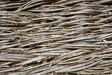 Similar image 21542190