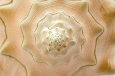 Similar image 21542192