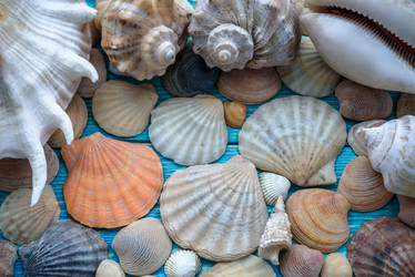 Similar image 21542193