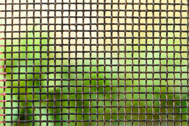 Similar image 21542199