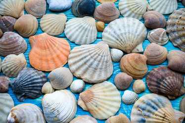 Similar image 21542200