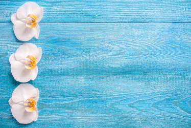 Similar image 21542210