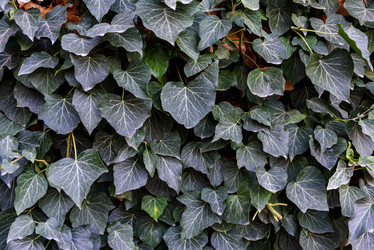 Similar image 21542211