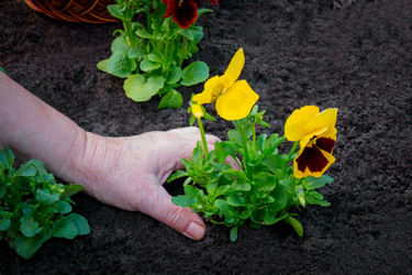 Similar image 21540820