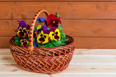 Similar image 21540821