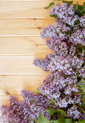 Similar image 21540830