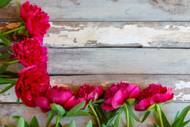 Similar image 21540831