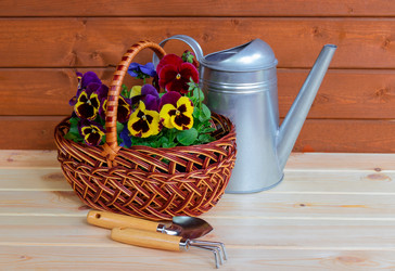 Similar image 21540838