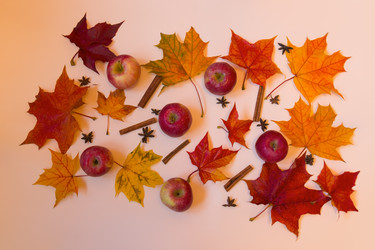 Similar image 21540843