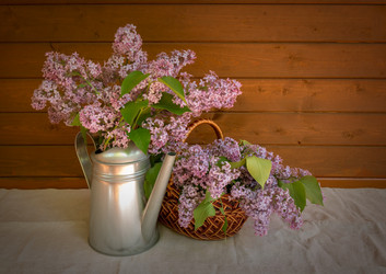 Similar image 21540845