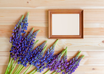 Similar image 21540848