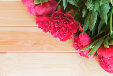 Similar image 21540849