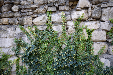 Similar image 21541094