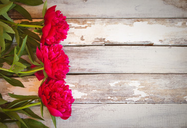 Similar image 21540863