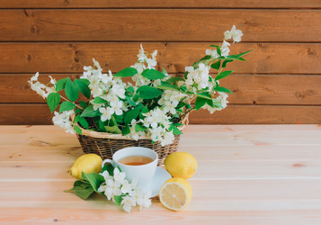 Similar image 21540865