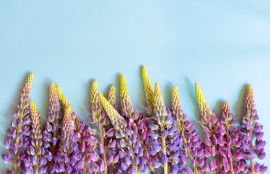 Similar image 21540872