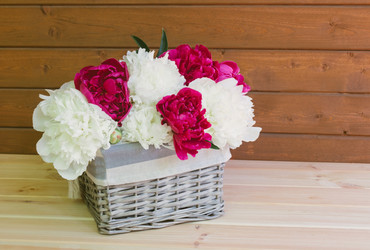 Similar image 21540876