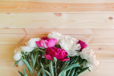 Similar image 21540877