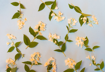 Similar image 21540897