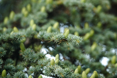 Similar image 21546158